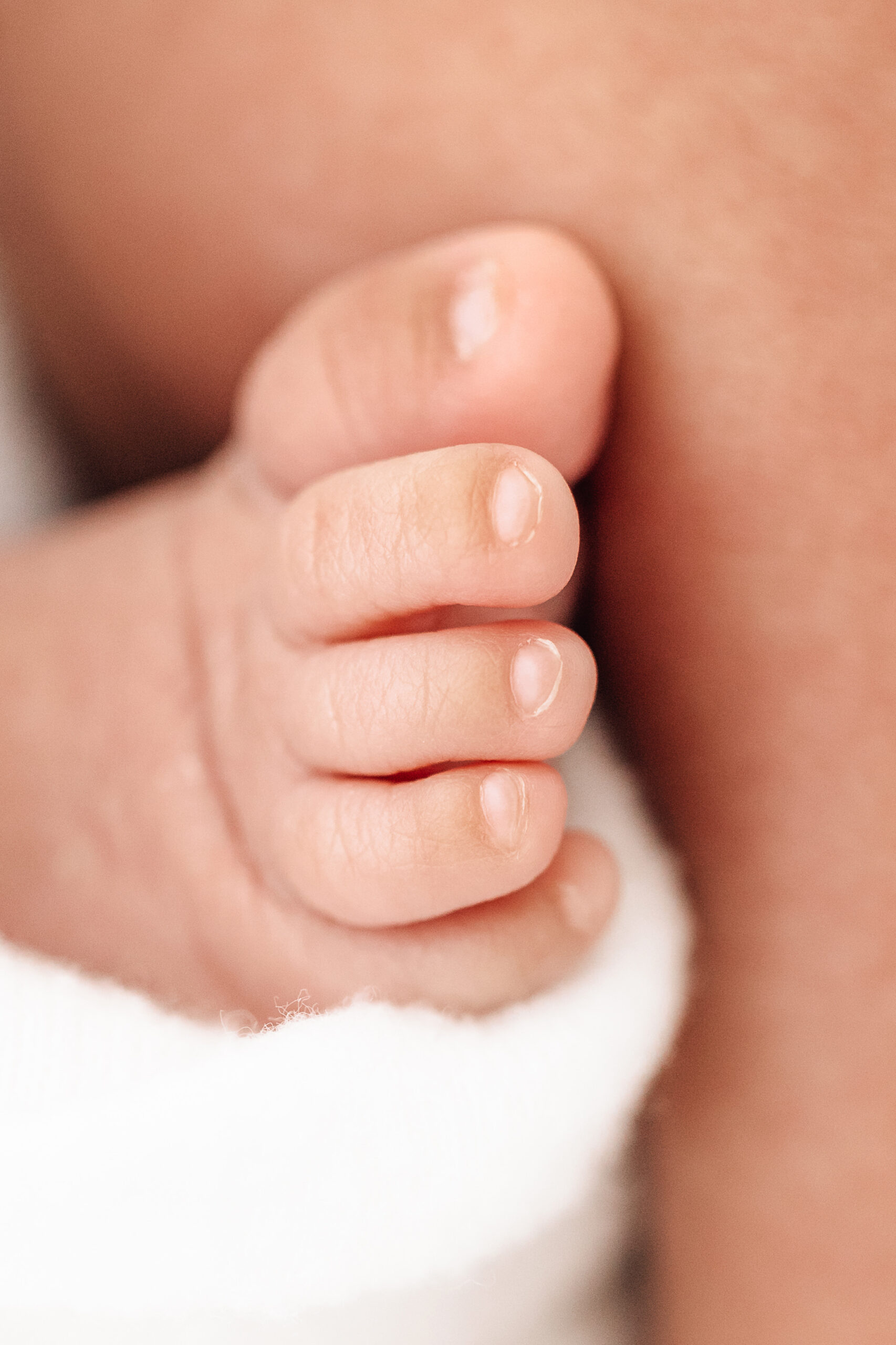 macro shot of newborn baby toes