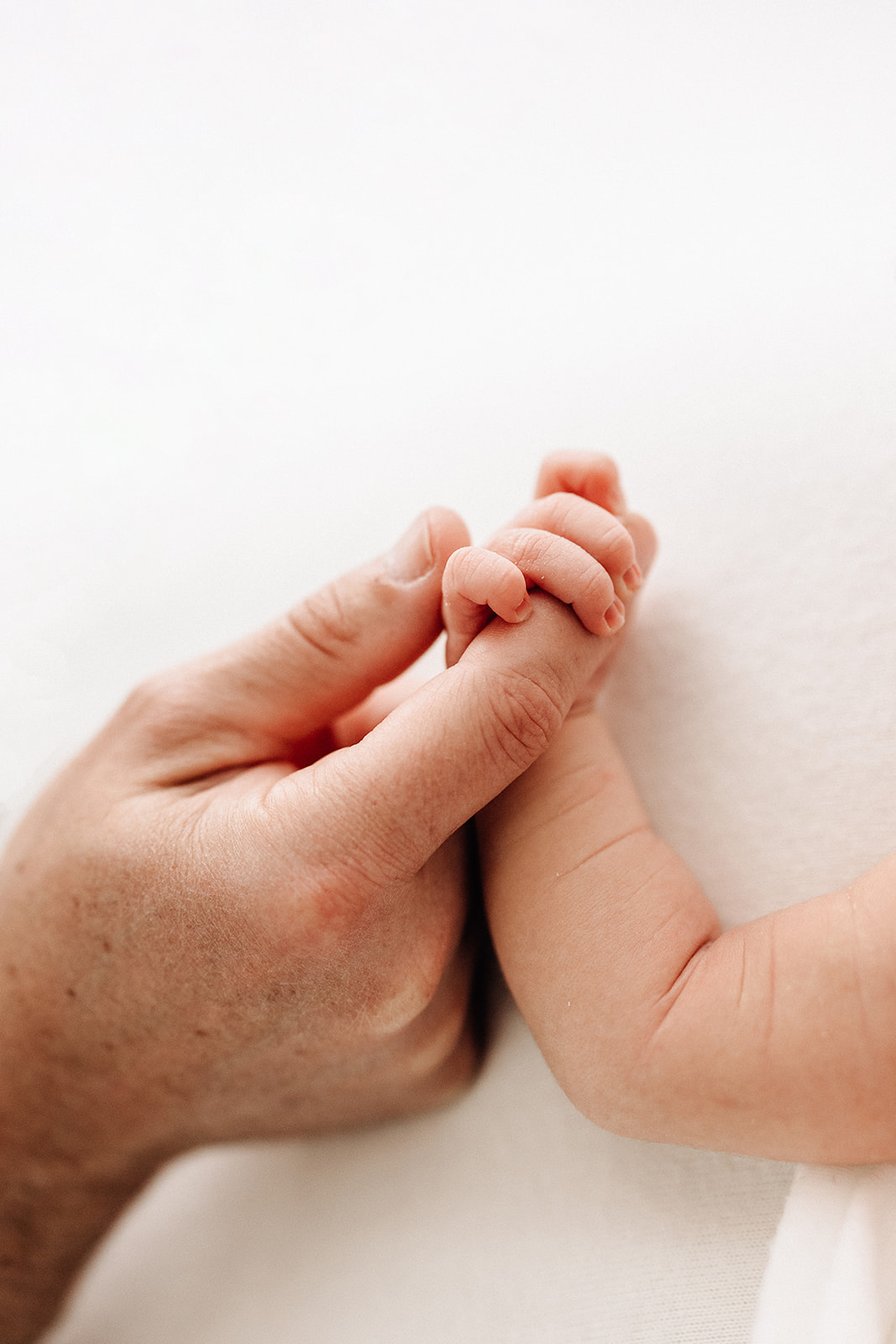 Details of a newborn baby holding dad's finger