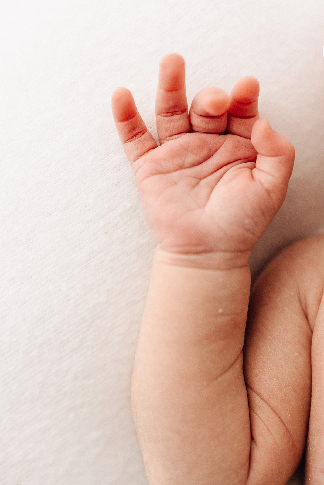 Details of a newborn baby's open hand on a white bed