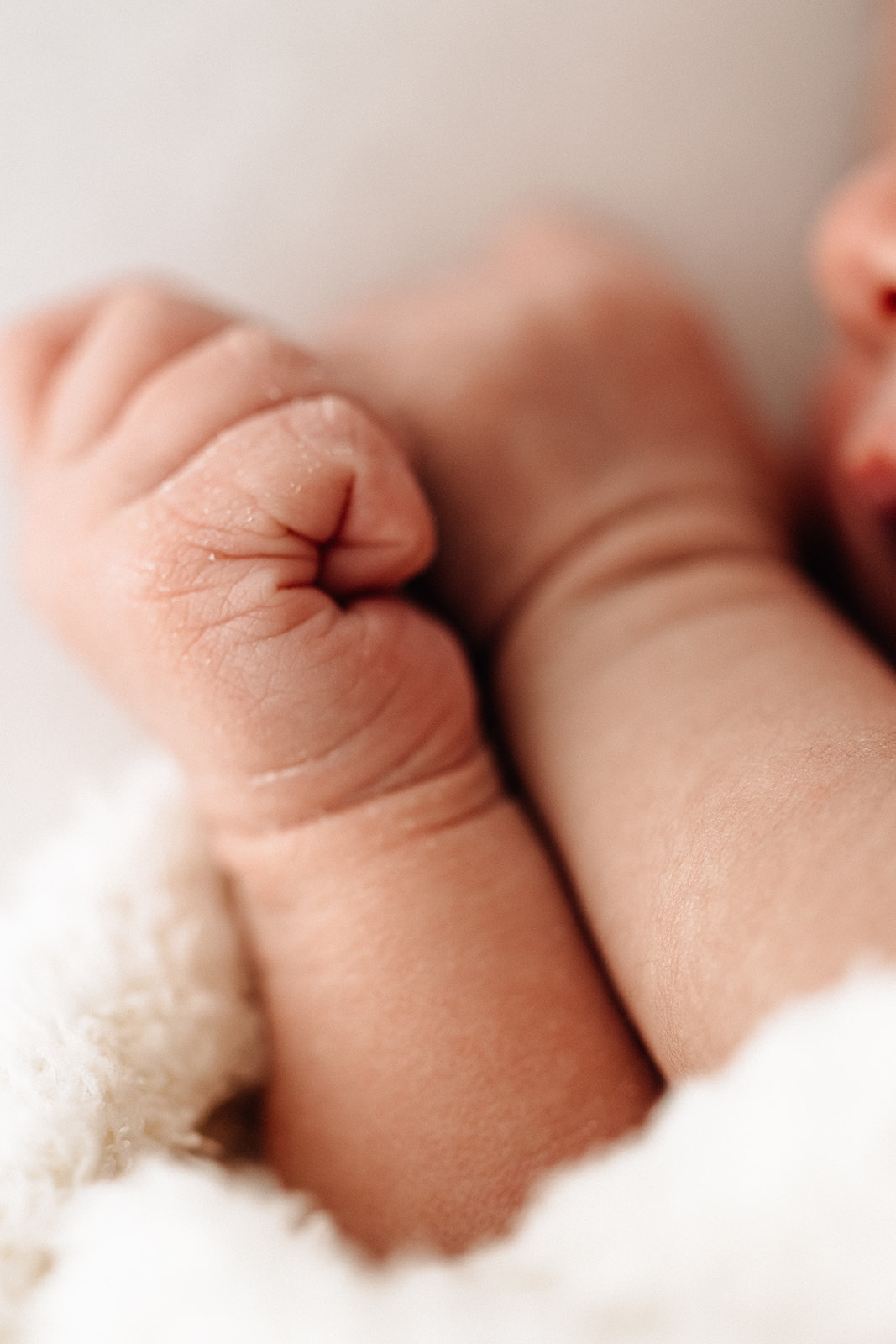 Details of a newborn baby's hand curled in a fist